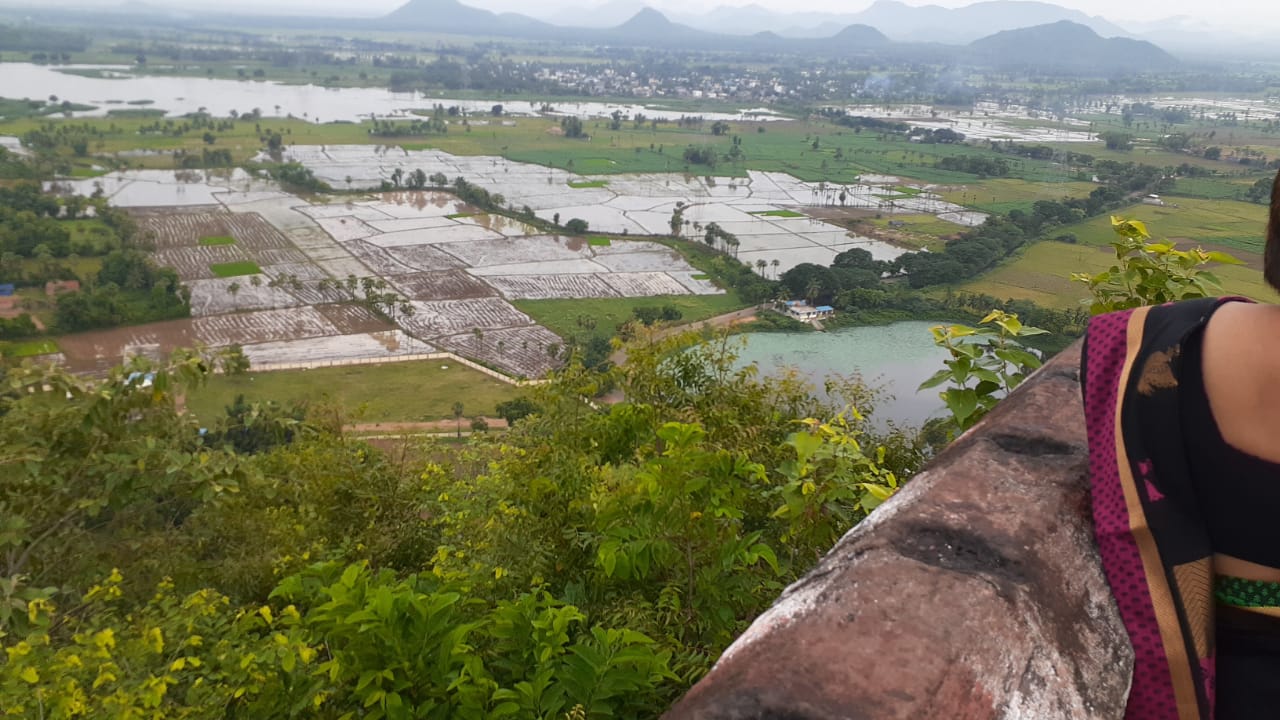 Korukonda