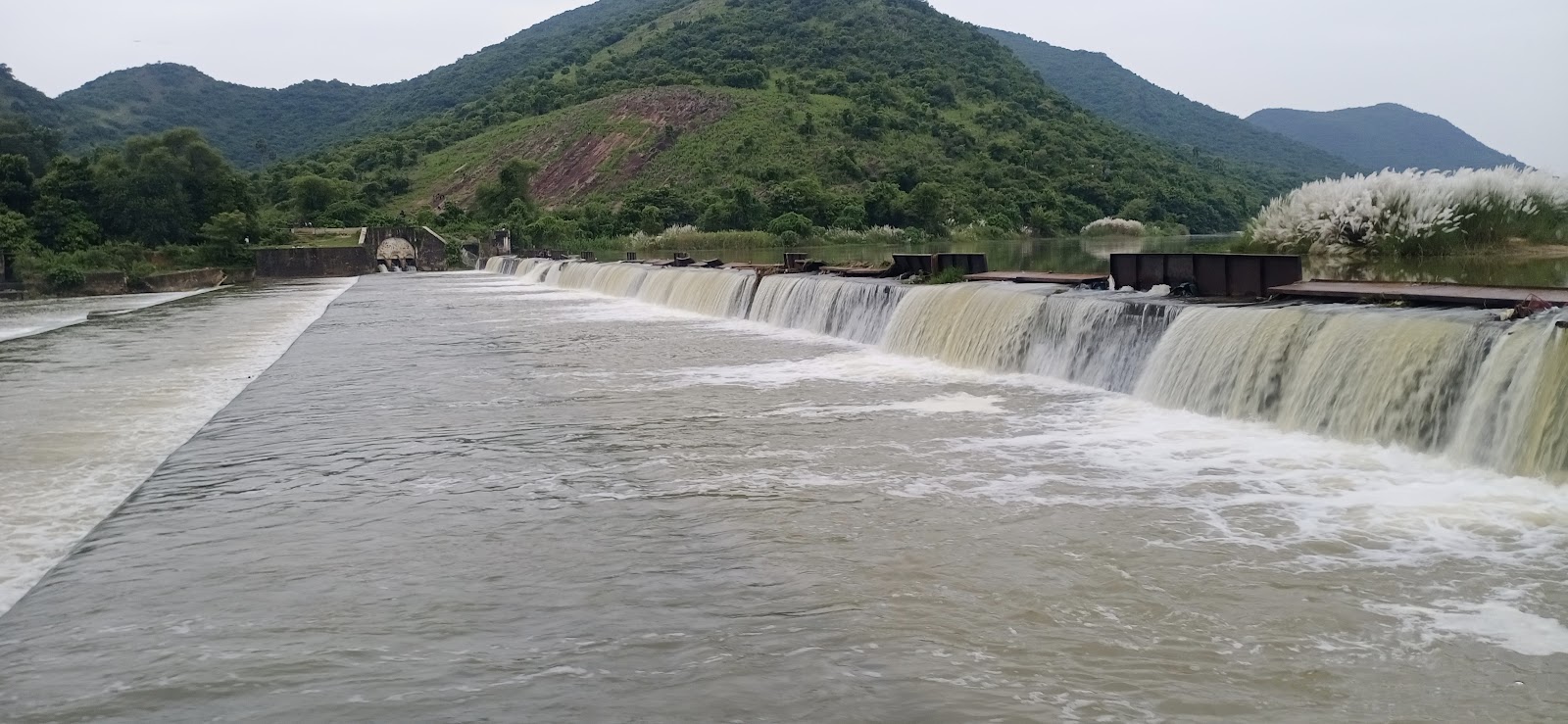 Saripalli