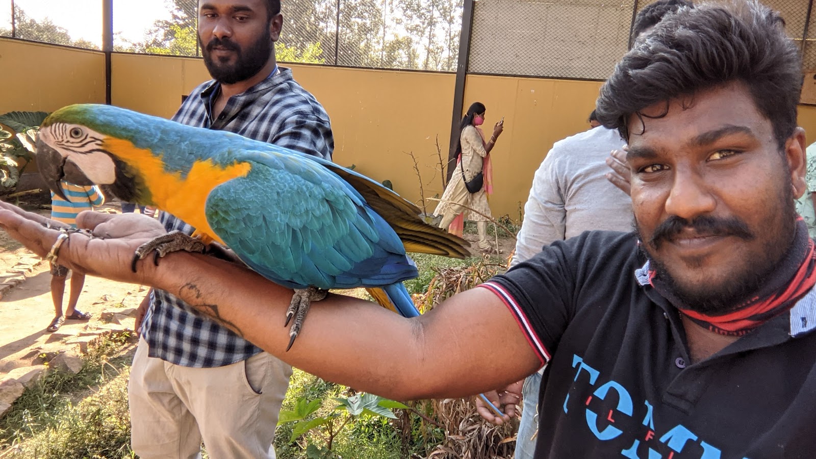 Fundera park - Birds park