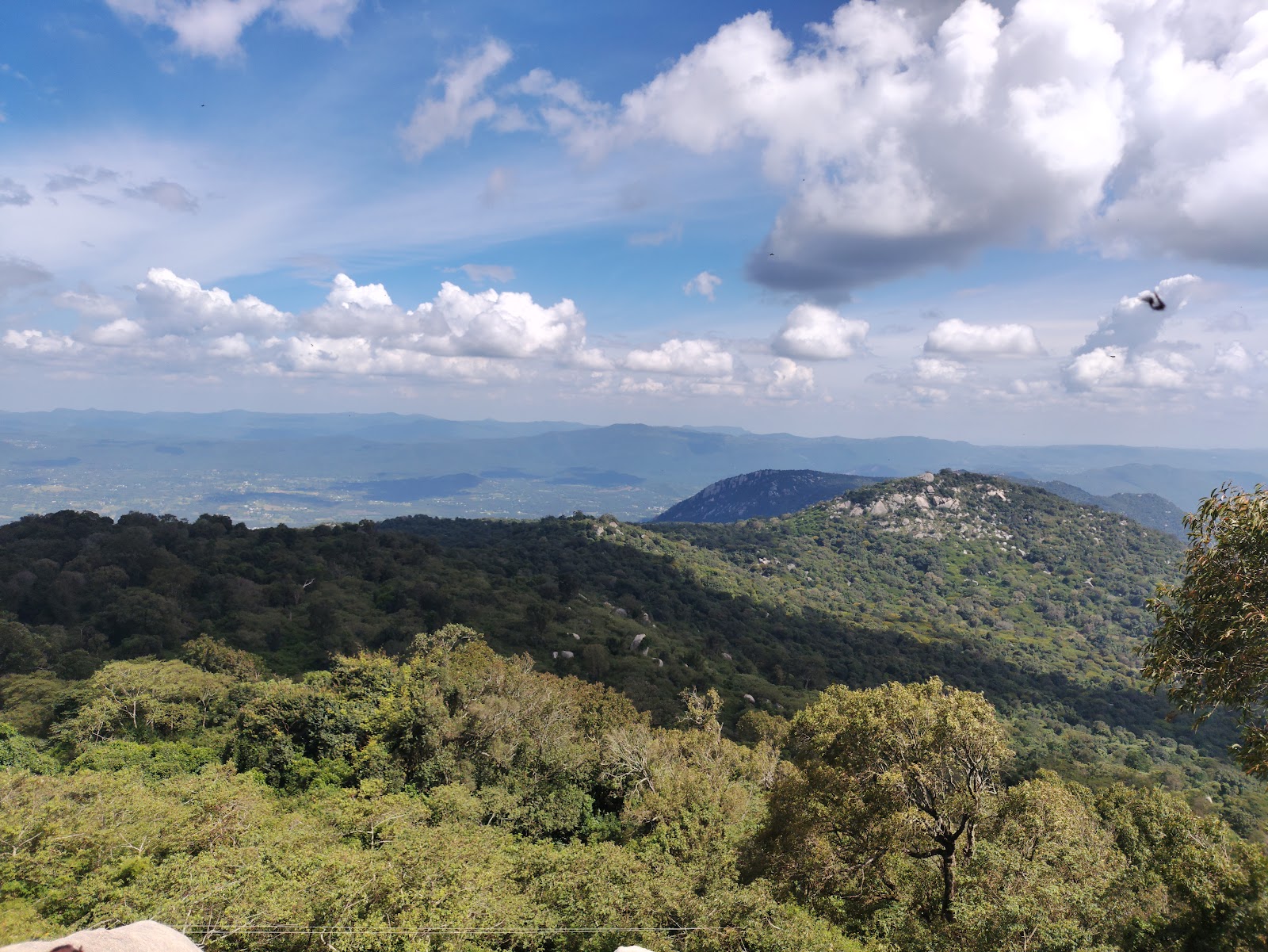 Swamimalai Hills, Yelagiri