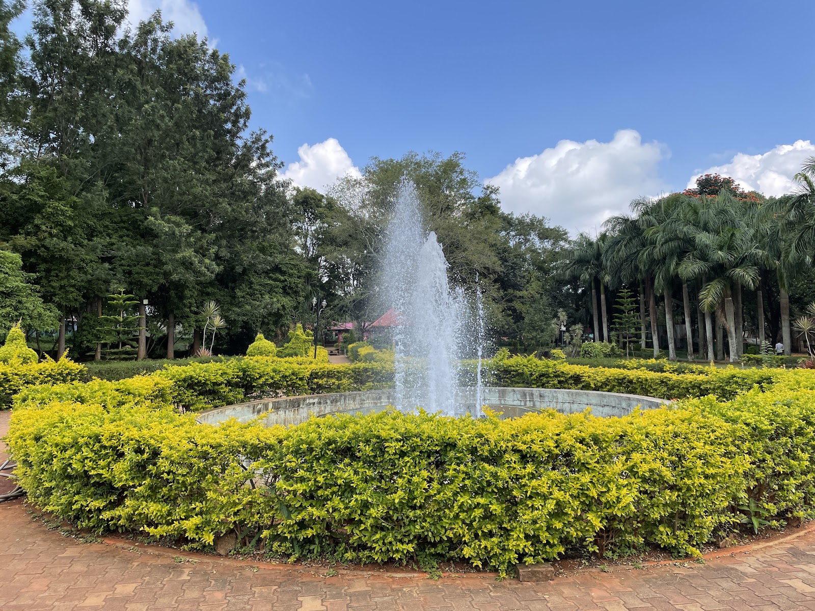 Yelagiri - Nature Park