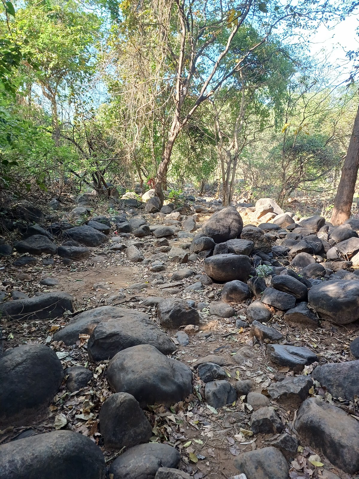 Kolli Hills