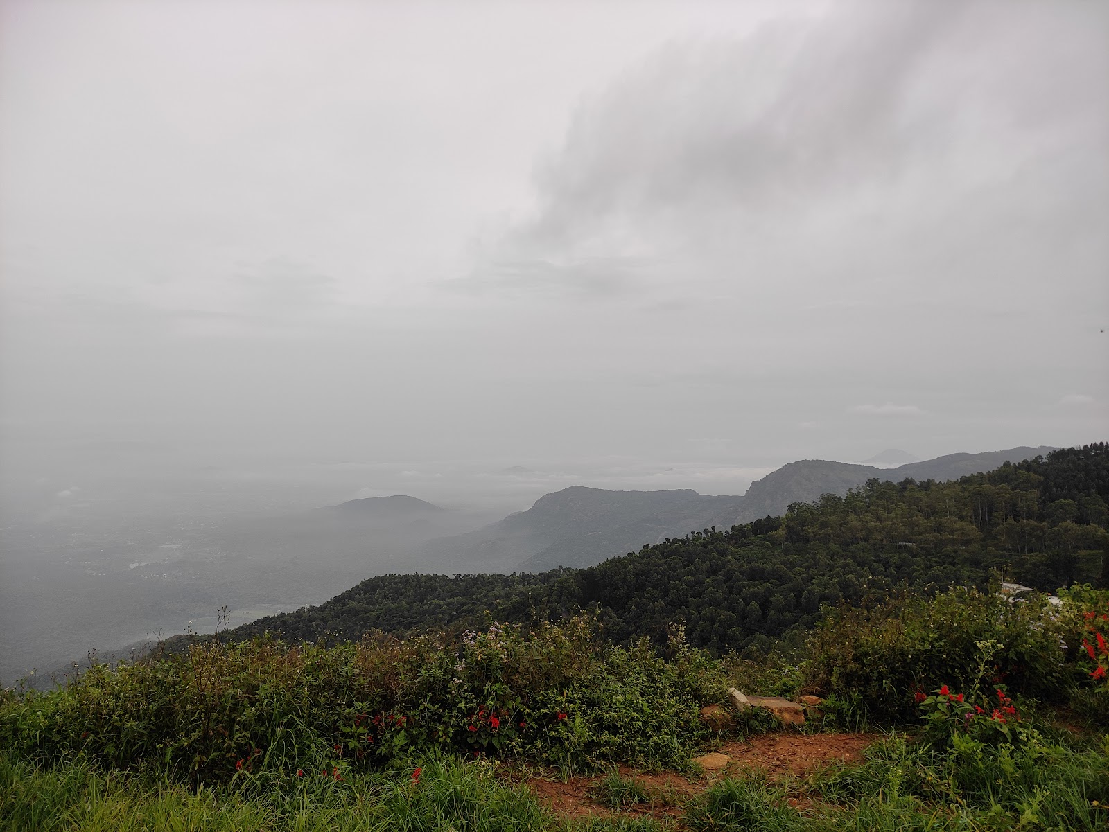 Ladies Seat Road