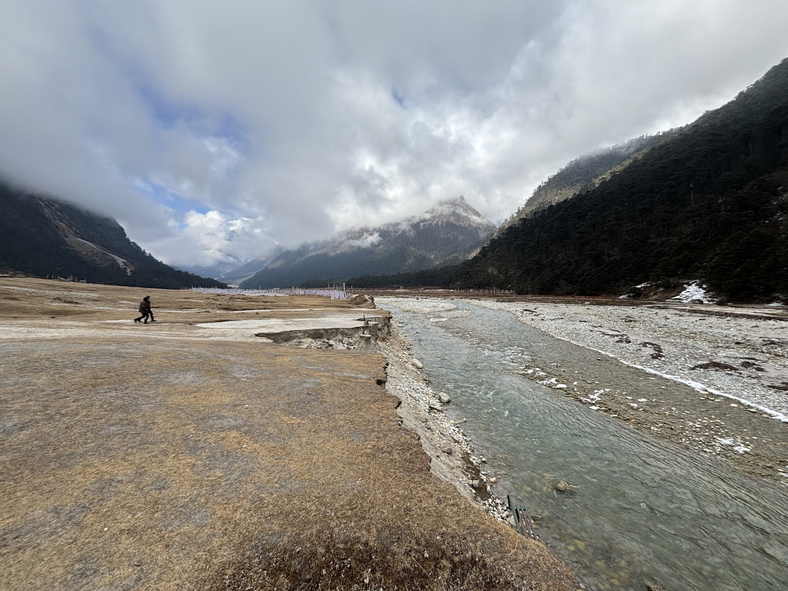 Yumthang Valley