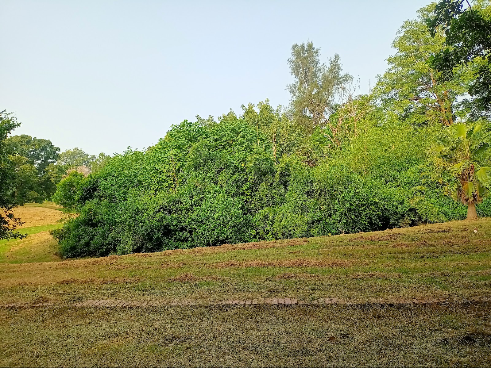 Leisure Valley
