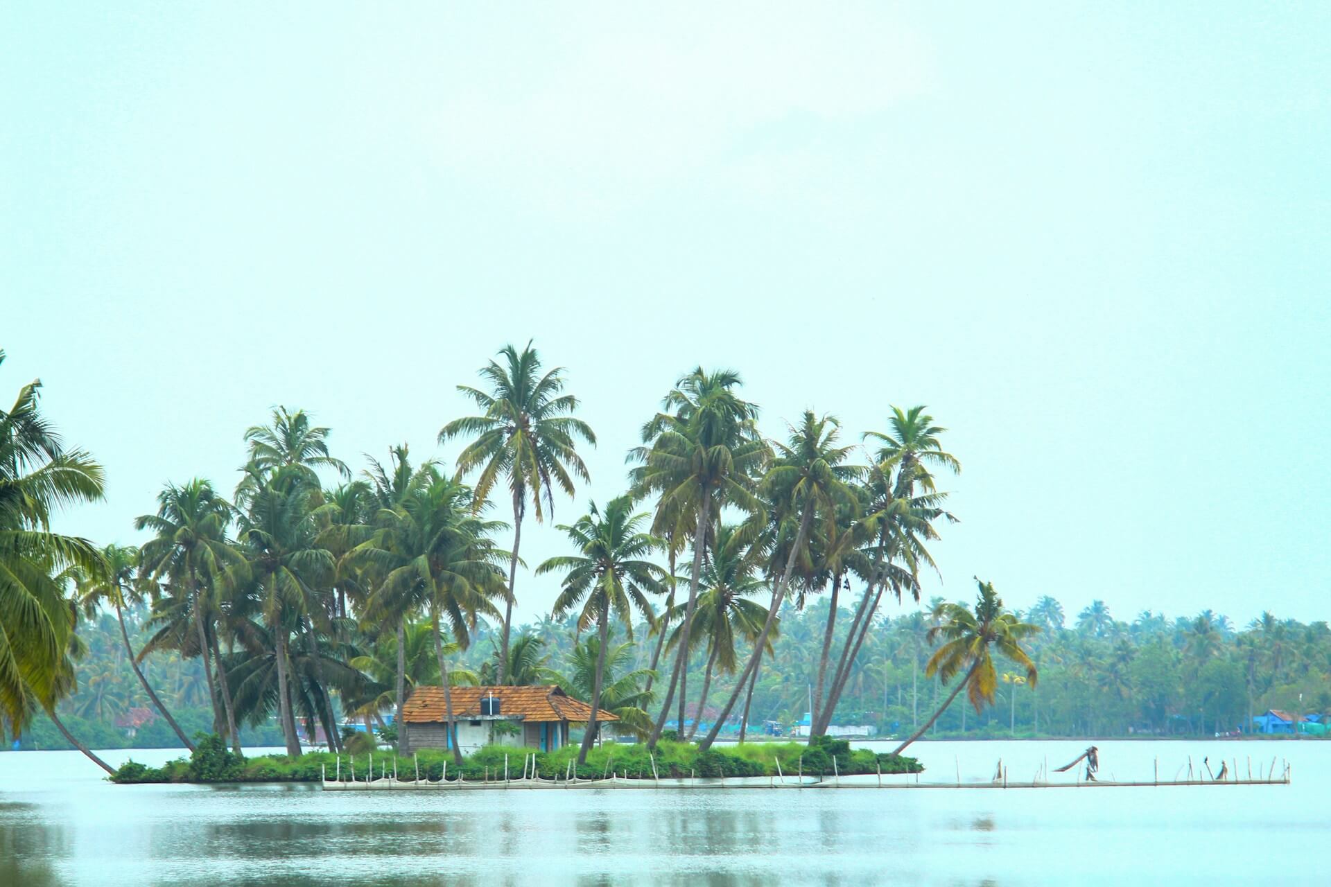 Green Getaway: Kerala Family Tour Delight