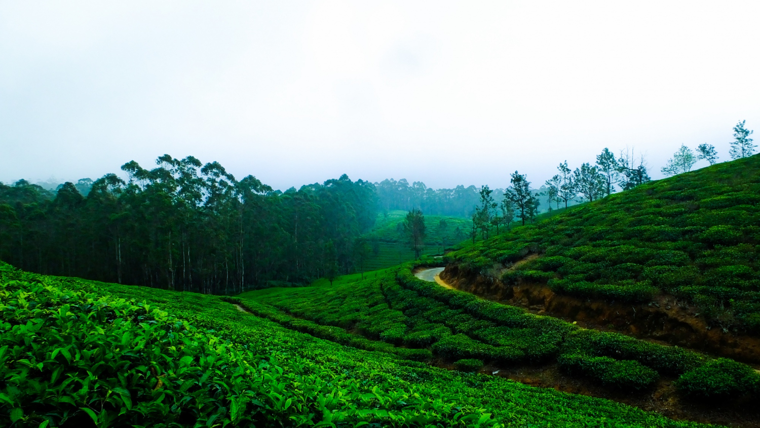 Magical Coorg Trip – 2 Nights & 3 Days