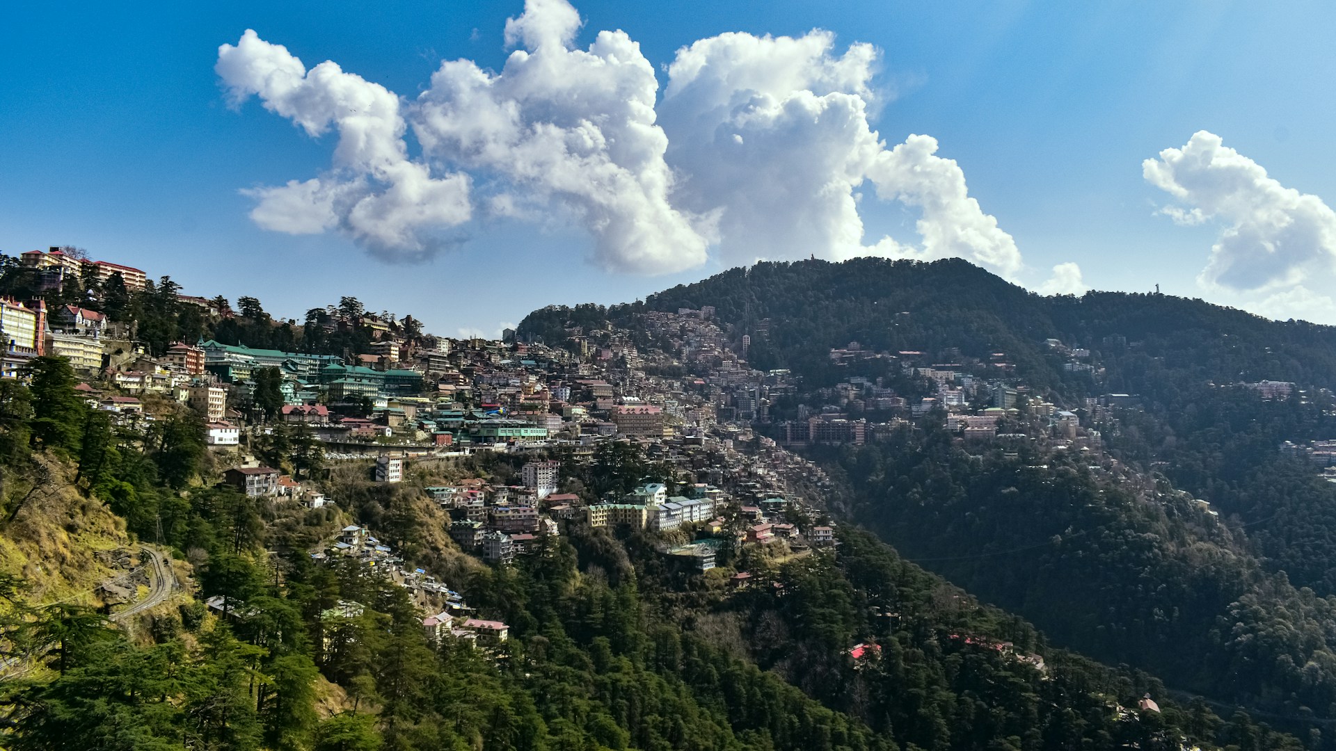 Shimla